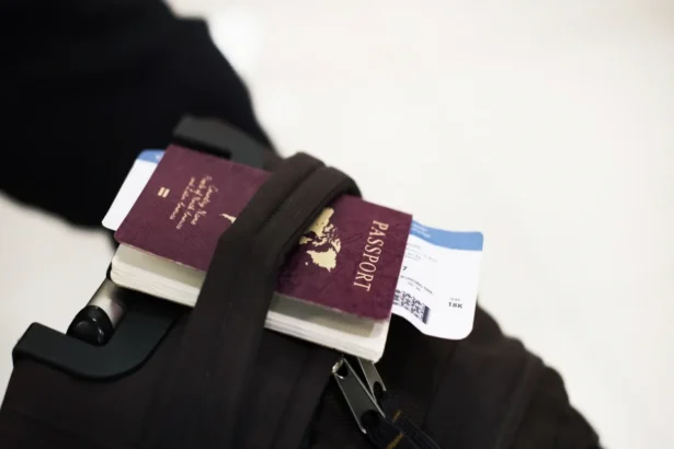 Votre passeport en cours de validité pourrait ne pas vous permettre d'accéder à ces pays