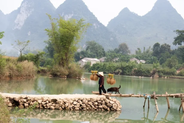 Meilleures périodes pour visiter les principales destinations du Vietnam