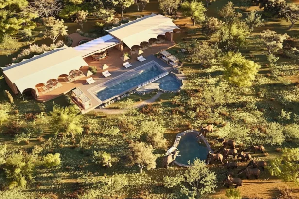 Marriott ouvre Mapito Safari Camp au cœur du parc national du Serengeti, en Tanzanie