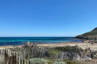 5 bonnes raisons de marcher jusqu'à la crique de la Briand