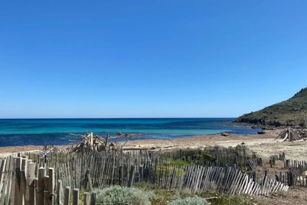 5 bonnes raisons de marcher jusqu'à la crique de la Briand